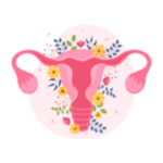 Alimentation-femme-endométriose-syndrome-prémenstruel-SOPK-ménopause